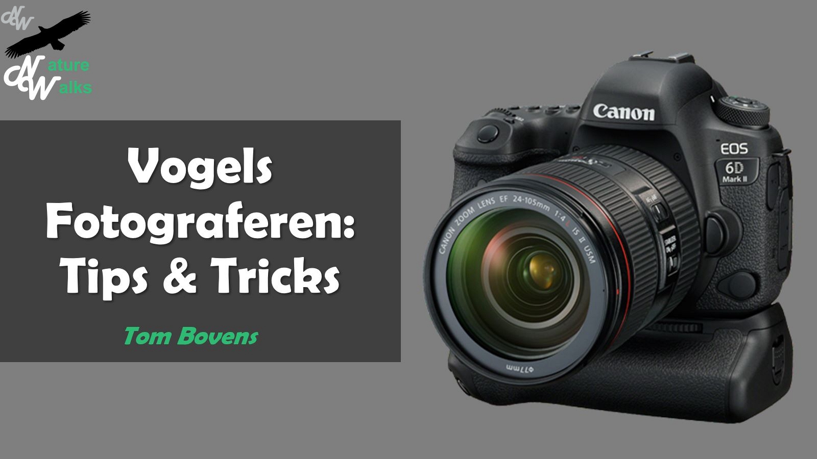 Cursus Vogelfotografie