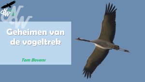 ./cursussen/cursus_vogeltrek_1672152257.png