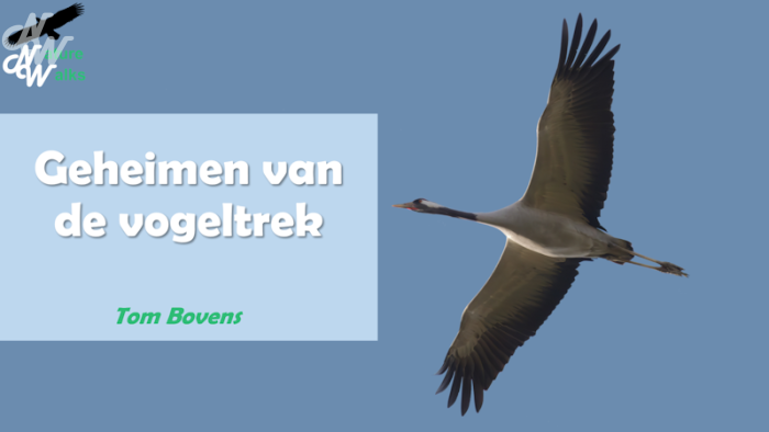 ./cursussen/cursus_vogeltrek_1672152257.png