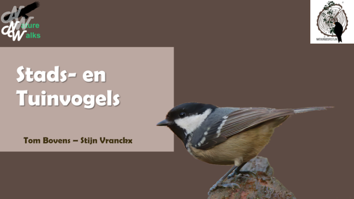 ./cursussen/cursustuinvogels_1672152257.png