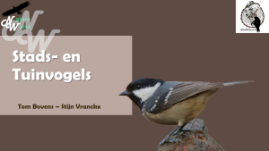 ./cursussen/cursustuinvogels_1672152257.png