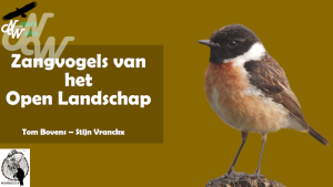 ./cursussen/cursuszangvogels_1672152257.png