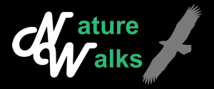 Naturewalks